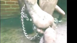 mud caning
