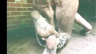 mud caning