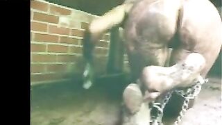 mud caning