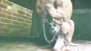 mud caning