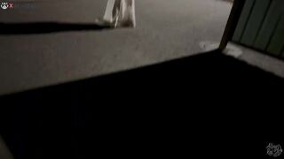 A Mother Fucked Her Son's Classmate.