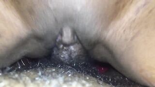 My cunt swallows his dong!