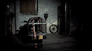 What to Do with a Blonde Maid in a Cage