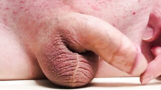 Teasing this soft shlong for you