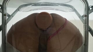 Chubby Ass Trans Gwen Tennyson Facesitting and Anal Drilled with Creampie through Clear Chair for the first Time