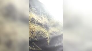 Part 1 MILF Undressed Public Hotel Dare