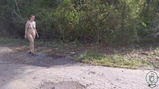Getting stripped on the side of the road