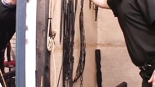 Mature Golden-haired Sub Gets Fastened and Whipped Wildly