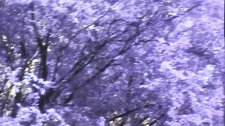 The Mystery of Blair - the Parody - (movie #01)