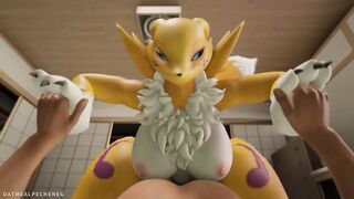 Renamon Fur Compilation: Volume 1