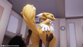 Renamon Fur Compilation: Volume 1