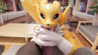 Renamon Fur Compilation: Volume 1