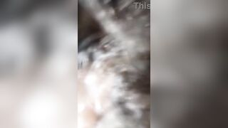 THIS LITTLE DOG LIKES IT HARD, LOOK AT HER FACE