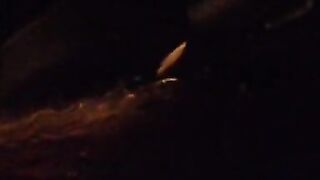 BACK OF CAR
