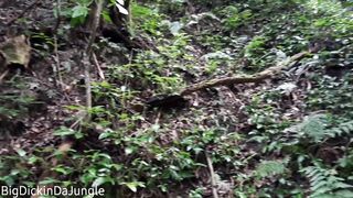 I find a device that apears to be a 3DS during the time that Walking Naked in Nature - Watch me Cum all over it