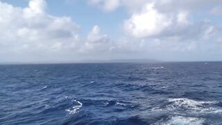 Caribbean Cruise with Hot GILF MILF Candi Annie