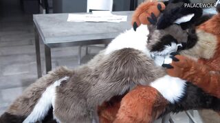 Twink Male Gets Banged By Landlord For Unpaid Rent