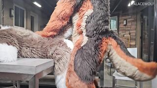 Twink Male Gets Banged By Landlord For Unpaid Rent