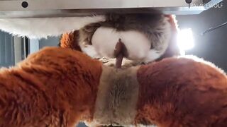 Twink Male Gets Banged By Landlord For Unpaid Rent