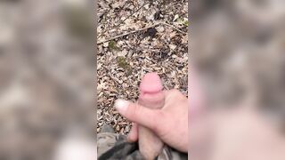 BushPlay