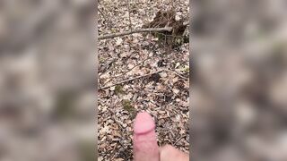 BushPlay