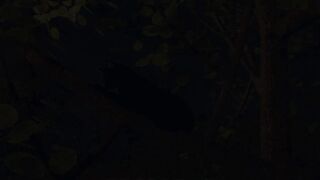 Under The Moonlight:Romantic Sex-Final Movie