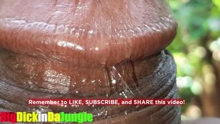 Jamaican Big Weenie Chap presents- Bizarre Close Up Precum Play Wettest Knob in Jamaica! Sexy Moanings