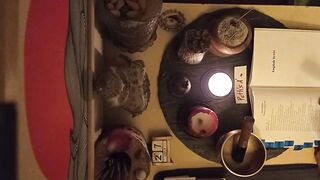 2026/07/27 - Zen Buddhist Practice - Each day Chant