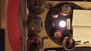 2026/07/27 - Zen Buddhist Practice - Each day Chant