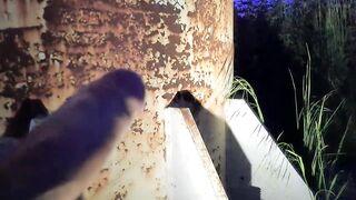 GORGEOUS MASSIVE PENIS MASTURBATE IN PUBLIC PLACE