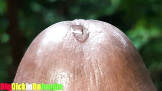 I Tease you by Playing with my Adorable Precum and Fingered my Rod Aperture Bizarre Close Up