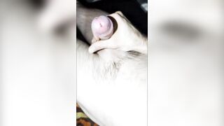 MajorMcMeech Addicted To Soaking Hot Cum All Night