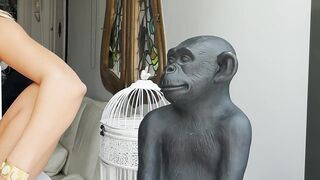 ROD RATINGS - (Roxy Fox’ new approach!)