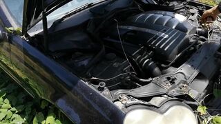 starting an abandended car after 8 months watch the wasps