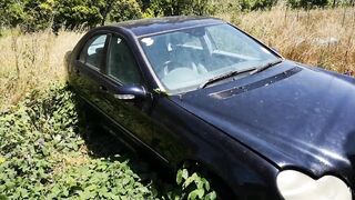 starting an abandended car after 8 months watch the wasps