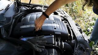 starting an abandended car after 8 months watch the wasps