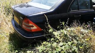 starting an abandended car after 8 months watch the wasps