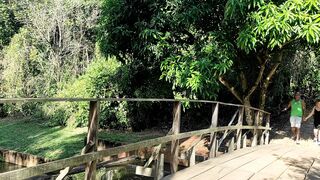 Fucking behind the trees in a park with a BBC