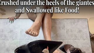 Crushed Under the Heels of the Giantess and Swallowed Like Food!