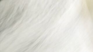 Golden-haired Older stepmom has nipples orgasm & pussyfucking close up!