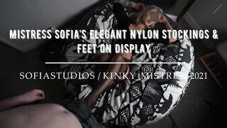 Mistresse Sofia’s Elegant Nylon Stockings & Feet on Display