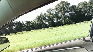 THA BEAUTIFUL STATE OF KENTUCKY!