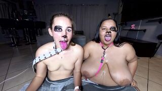 Topless panting bitches constantly drooling as they stick their tongues out, licking and smelling each other
