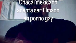 Chacal accedes to be filmed in a morbid gay episode where he's humiliated for having a tiny cock and is told to place in a sex tool and then suck it with the juices from his constricted virgin ass