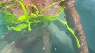 Sexy Italian MILF Artemisia Love Flashing her soaked big boobs underwater in Public Full OF
