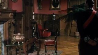 A Merry Widow - Vol. - (soft Version)