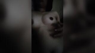 Suck my boobs