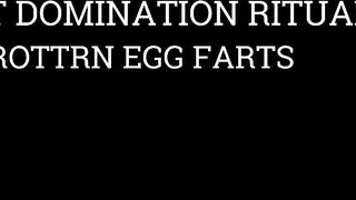 Fart Domination Ritual: Egg Farts for the Thrall