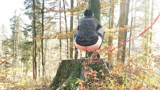 Anal Butt plug Void urine Bitch