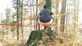 Anal Butt plug Void urine Bitch